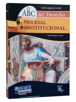 El abc del derecho procesal constitucional - Pacheco