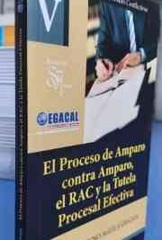 El proceso de amparo contra amparo el rac y la tutela procesal efectiva