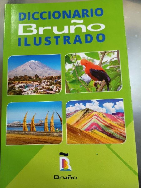 Diccionario Bruño Ilustrado