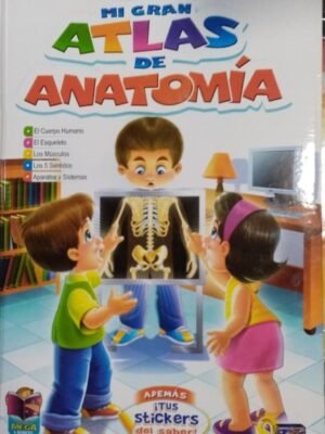 Atlas de anatomía - A3