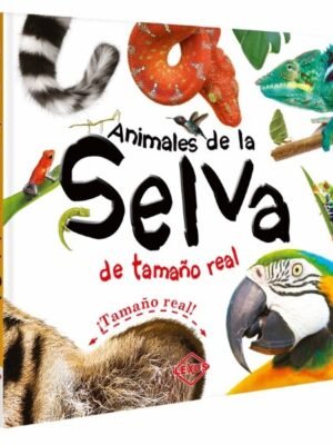 Animales de la selva | Lexus