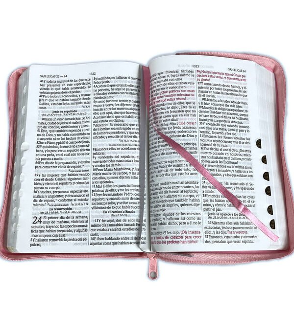 78999384069601 contenido biblia rosado con estuche