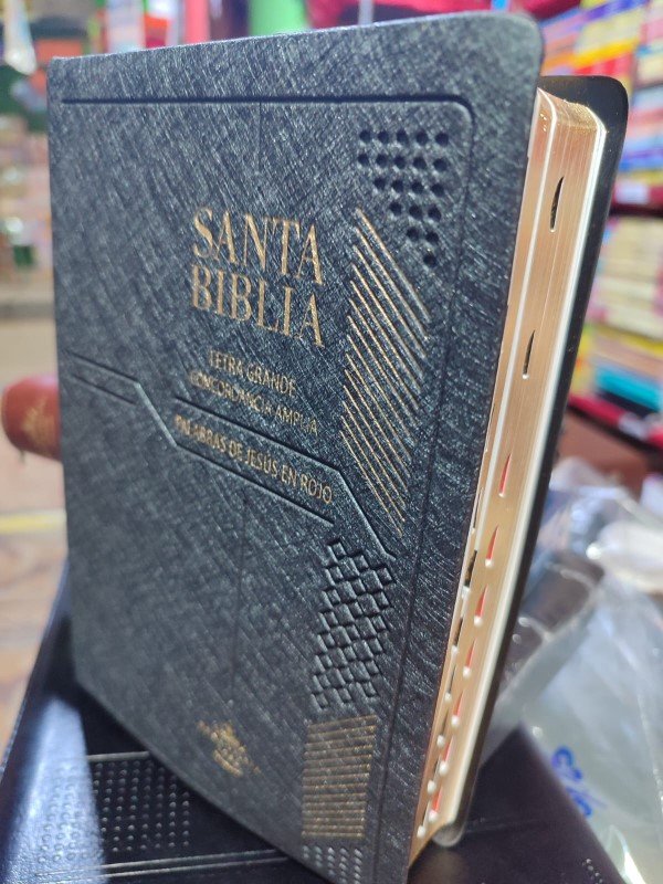 Santa biblia letra grande con índice