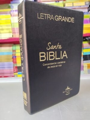 Santa Biblia letra grande vinilo negro
