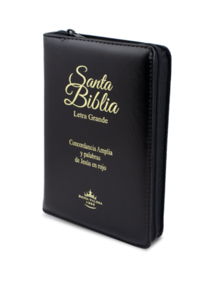 Santa biblia letra grande con estuche e índice