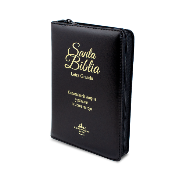 Santa biblia letra grande con estuche e índice