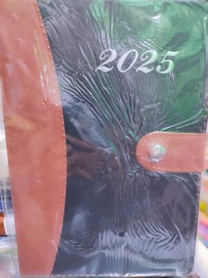 Agenda 2025 negro con broche y filo dorado