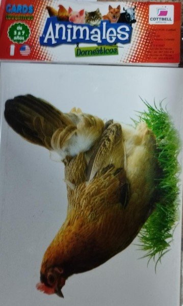 Animales domésticos. Español-Inglés - Tarjetas Léxicas Mifabe
