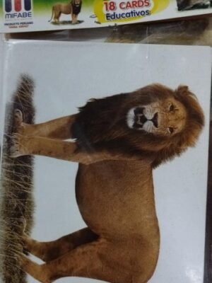 Animales salvajes - Tarjetas Léxicas grande Mifabe