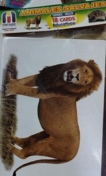 Animales salvajes - Tarjetas Léxicas grande Mifabe