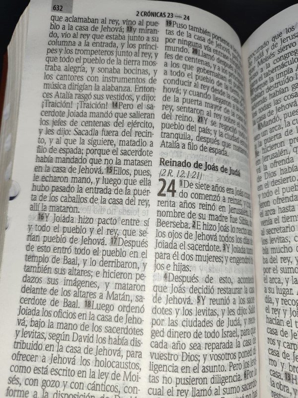 contenido santa biblia marron letra gigante