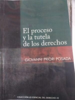 El proceso y la tutela de los derechos