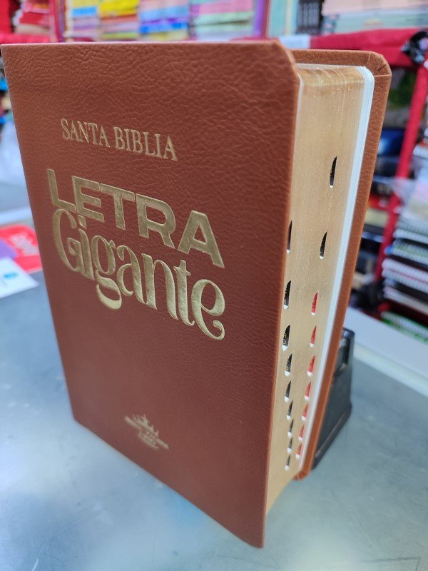 Santa biblia letra gigante e índice marrón
