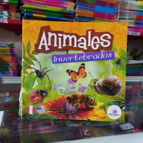 Animales invertebrados - Minicartilla CB