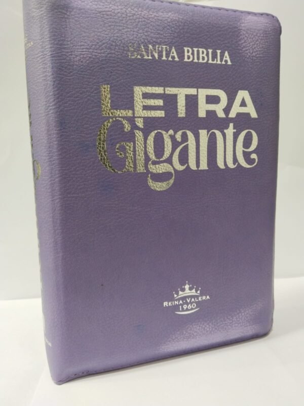 Santa biblia RV 1960 letra gigante morado con estuche