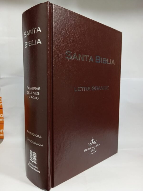 Santa Biblia RV 1960 letra grande con Indice (Marrón filo plateado tapa dura)