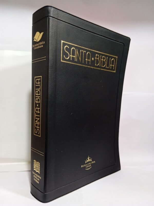 Santa Biblia RV 1960 (Negro filo rojo)